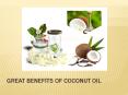 Great Benefits of Coconut Oil PowerPoint PPT Presentation