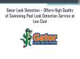 Gator Leak Detection – Offers High Quality of Swimming Pool Leak Detection Service at Low Cost PowerPoint PPT Presentation