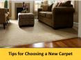 Tips for Choosing a New Carpet PowerPoint PPT Presentation