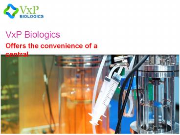 Research & Development Services