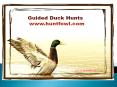 Guided Duck and Goose Hunting PowerPoint PPT Presentation