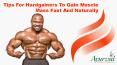 Tips For Hardgainers To Gain Muscle Mass Fast And Naturally PowerPoint PPT Presentation
