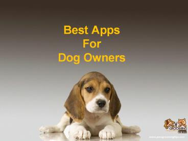 Best Apps For Dog Owners