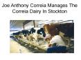 Joe Anthony Correia Manages The Correia Dairy In Stockton PowerPoint PPT Presentation