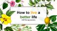 How to live better life PowerPoint PPT Presentation