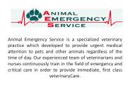 Vets for Pets (1)