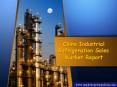 China Industrial Refrigeration Sales Market Report PowerPoint PPT Presentation
