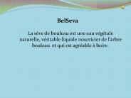 Sève de bouleau bio 330ml