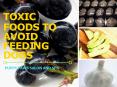Toxic Foods To Avoid Feeding Dogs PowerPoint PPT Presentation