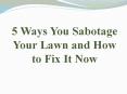5 Ways You Sabotage Your Lawn and How to Fix It Now PowerPoint PPT Presentation