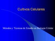 Cultivos Celulares