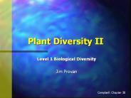 Plant Diversity II