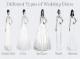 Different types of wedding dress PowerPoint PPT Presentation