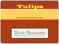 Wholesale Tulip Flowers - www.wholeblossoms.com PowerPoint PPT Presentation