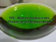 Diapositive 1