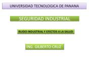 SEGURIDAD INDUSTRIAL