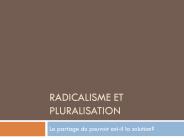 Radicalisme et pluralisation