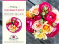 How to Choose the Right Rose for Every Occasion PowerPoint PPT Presentation