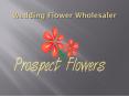 Top 5 things to look for in wedding flower wholesaler