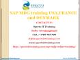 sap mdg 8.0 online training classes | specto PowerPoint PPT Presentation