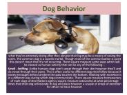 Dog Behavior: How Do Dogs Communicate?