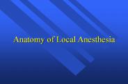 Anatomy of Local Anesthesia
