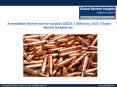 Ammunition Market size forecast to surpass USD 8.3 billion by 2023 PowerPoint PPT Presentation