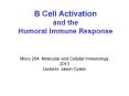 B Cell Activation and the Humoral Immune Response PowerPoint PPT Presentation