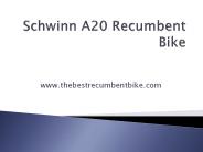 Schwinn A20 Recumbent Bike
