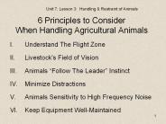 6 Principles to Consider When Handling Agricultural Animals