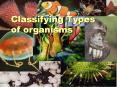 Classifying Types of organisms PowerPoint PPT Presentation