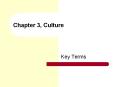 Chapter 3, Culture PowerPoint PPT Presentation