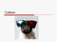 Culture PowerPoint PPT Presentation