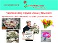 Amaryllis wholesale flowers in east delhi (1) PowerPoint PPT Presentation