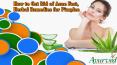 How To Get Rid Of Acne Fast, Herbal Remedies For Pimples