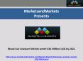 Blood Gas Analyzer Market by Product & Player – 2021 PowerPoint PPT Presentation