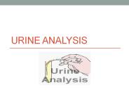 Urine%20analysis