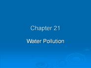 Water Pollution