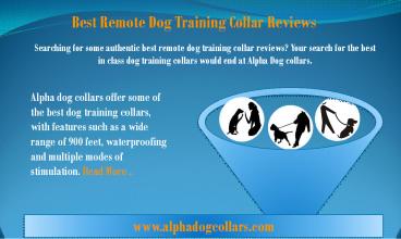 Best remote dog training collar reviews