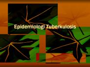 Epidemiologi Tuberkulosis