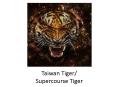 Taiwan Tiger/ Supercourse Tiger PowerPoint PPT Presentation