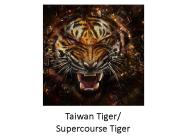 Taiwan Tiger/ Supercourse Tiger