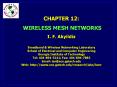 Wireless Mesh Networks PowerPoint PPT Presentation