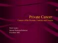 Private Cancer: Cancers of the Prostate, Testicles and Ovaries PowerPoint PPT Presentation