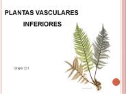 Diapositiva 1