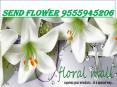 Flower Online 9555945206