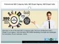 Professional SEO Company India, SEO Expert Agency, SEO Expert India PowerPoint PPT Presentation