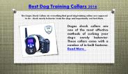 Best Dog Training Collars 2016