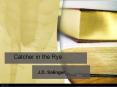 Catcher in the Rye PowerPoint PPT Presentation