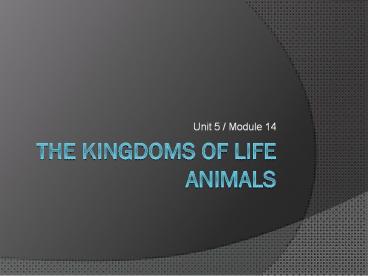 The Kingdoms of Life Animals